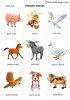 Animals Sounds flashcards